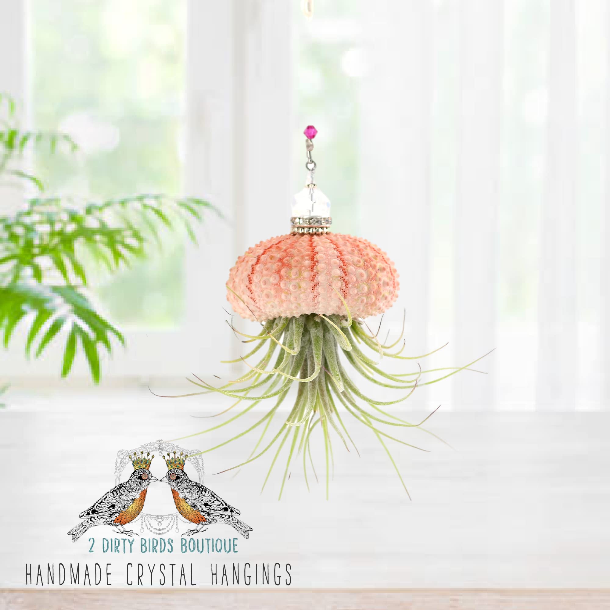 Handmade Single Hanging Jellyfish Air Plant in Sea Urchin Shell with Swarovski Crystals & Freshwater Pearls - Boho Home Décor, Live House Plant for Indoor, Outdoor, Terrarium, or Gift (Perfect for Beach-Themed Rooms, Wedding Centerpieces, and Zen Meditation Spaces)