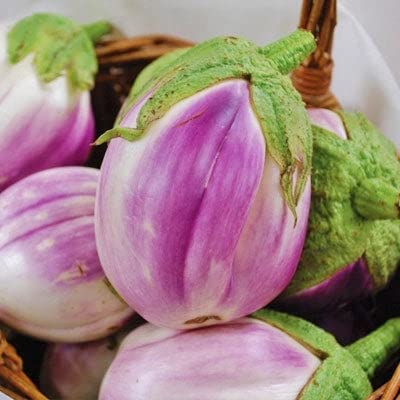 Organic Rosa Bianca Eggplant Seeds - 1oz Heirloom Vegetable Seeds for Home Gardening | Non-GMO, Easy to Grow in Containers & Gardens | Perfect for Italian Recipes, Grilling & Mediterranean Cuisine