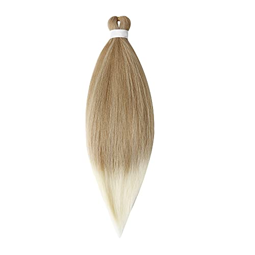 Premium Human Hair Wigs for Women - Natural Black to Brown Ombre Gradient Dirty Braid Extensions | Real African American Hair Wigs for White Women | Perfect for Cosplay, Daily Wear & Special Occasions