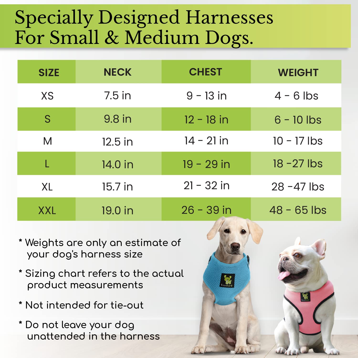 EcoBark No Pull Dog Harness - Eco-Friendly Soft Mesh Vest for Small Dogs & Puppies - Comfortable Overhead Design Prevents Choking - Perfect for Toy Breeds (Small, Teal Blue) - Ideal for Daily Walks, Training & Outdoor Adventures