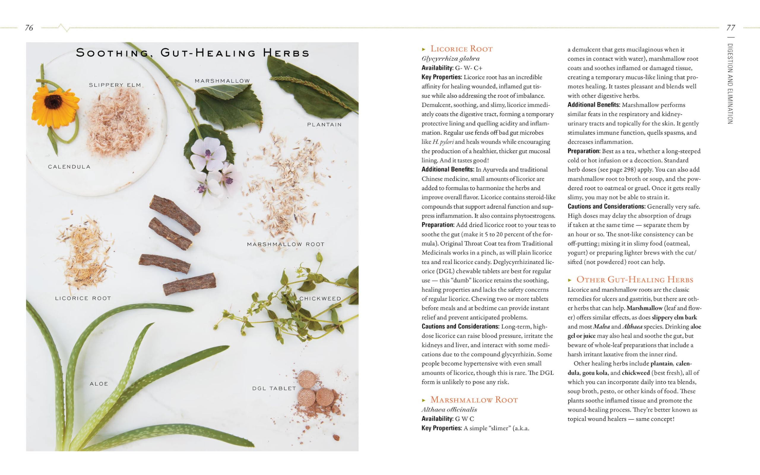 Body into Balance: Herbal Guide for Holistic Self-Care - Natural Remedies for Stress Relief, Better Sleep & Wellness at Home