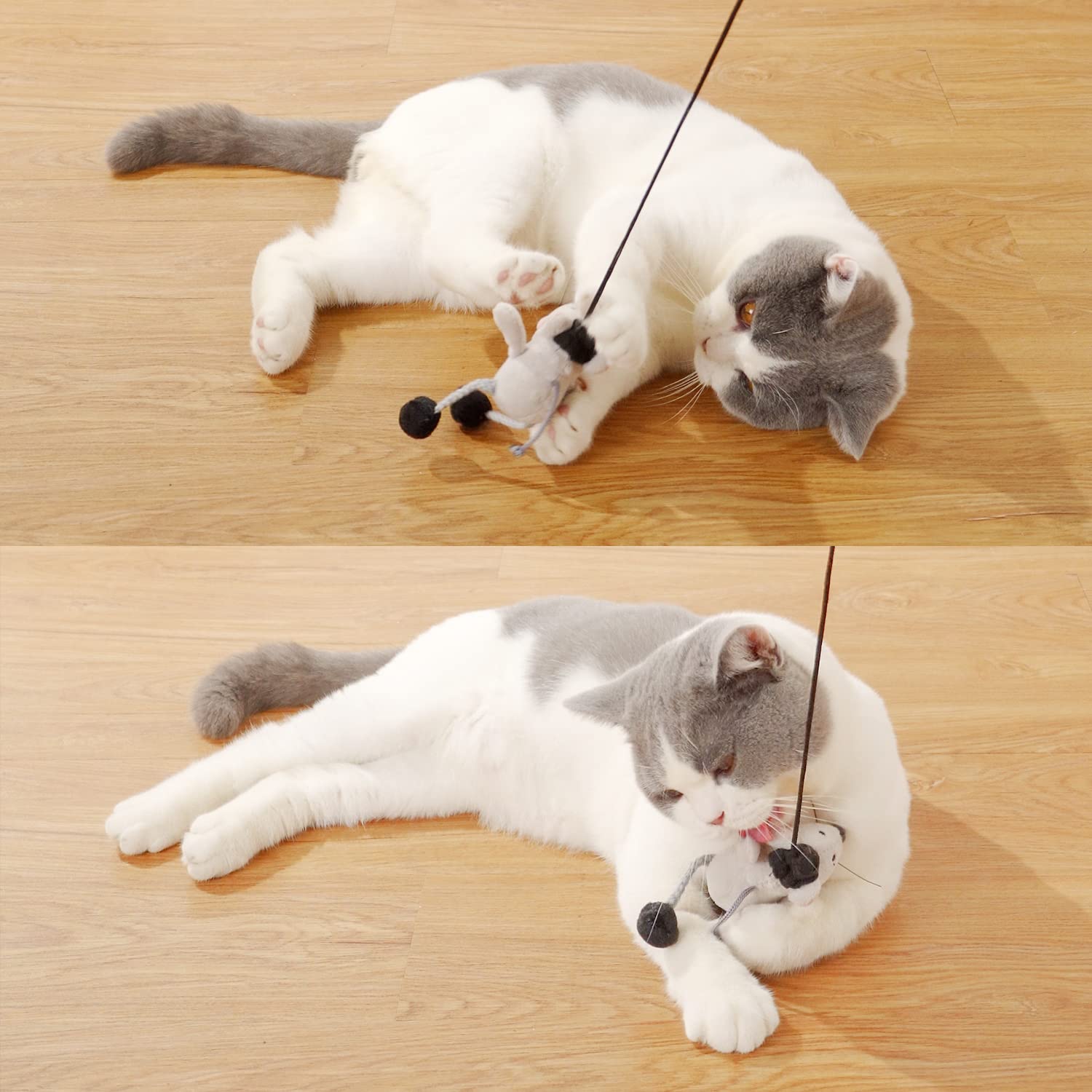PAZ'S GIFT Interactive Cat Wand Toy with Cute Mouse - Teaser Wand for Indoor Play, Squeaky Fun Kitten Toy for Chase & Exercise - Reduce Boredom for All Cats - Perfect for Playtime, Training & Bonding with Your Feline Friend