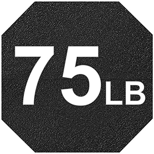 r. 75 LB Pair (2 x 75lb)
