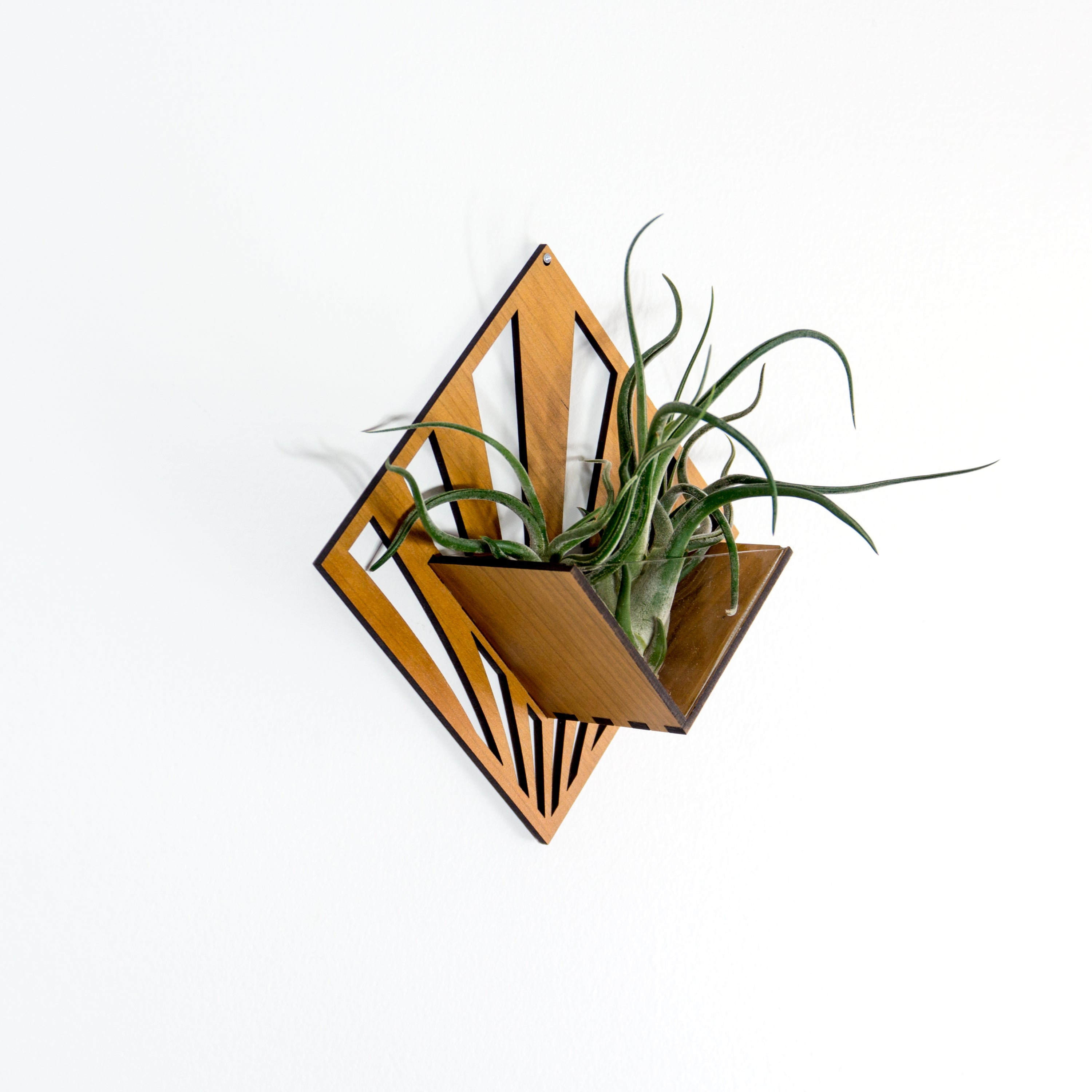 Handmade Wooden Quadrate Wall Planter Set of 2 - Air Plant Holder & Mounted Hanger Display for Tillandsia | Rustic Home Decor, Unique Plant Lover Gift Idea for Living Room, Bedroom or Office Decor