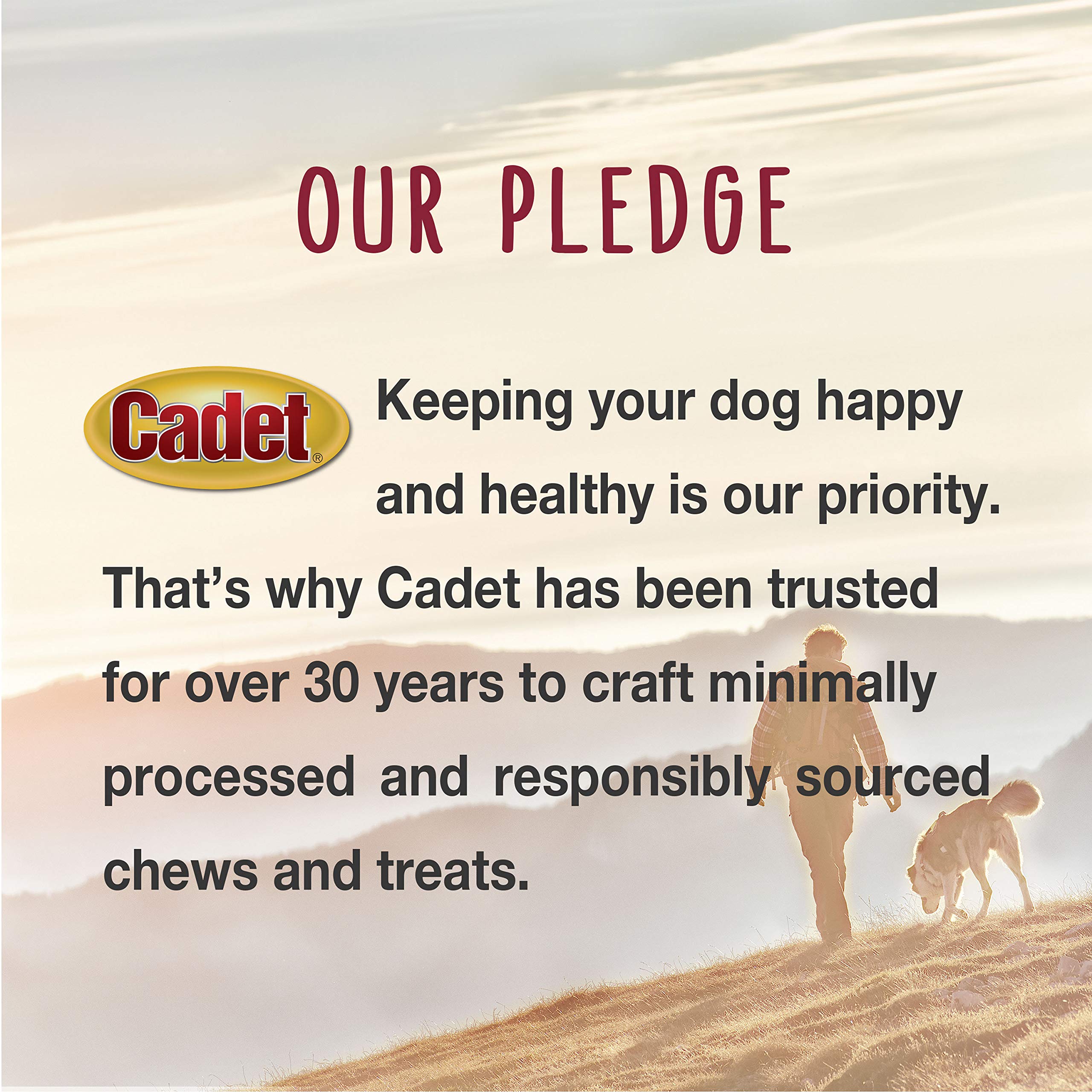 **Premium Cadet Junior Stuffed Shin Bones for Dogs – High Protein, Long-Lasting Chew Toy for Aggressive Chewers – Supports Dental Health – Peanut Butter Flavor (2 Count) – Perfect for Training, Teething & Playtime**
