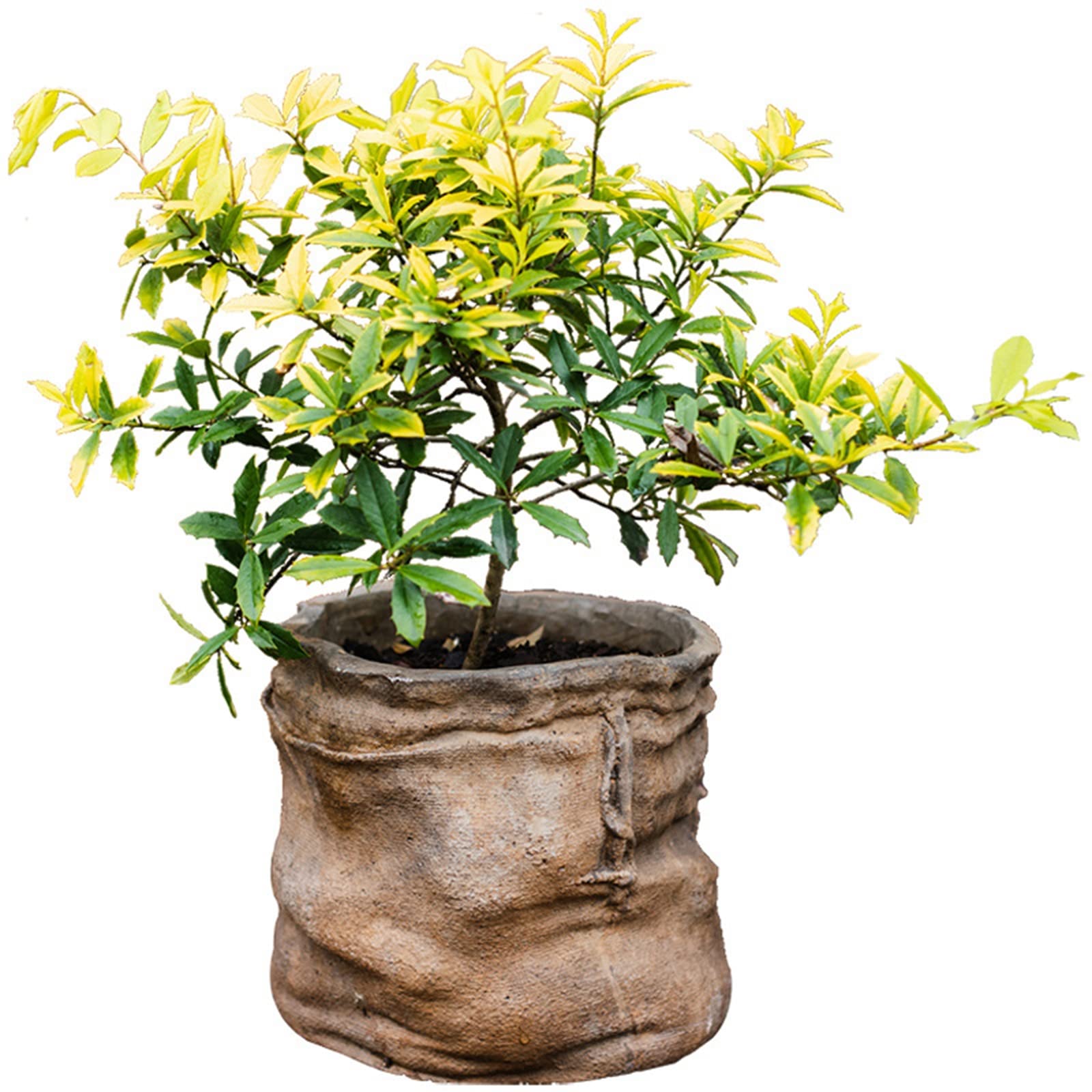 Unique Wheel-Shaped Concrete Planter with Drainage Hole - Outdoor Linen Pocket Flower Pot for Orchids, Bonsai & Garden Plants (Plants Not Included) - Perfect for Patio, Balcony & Indoor Decor