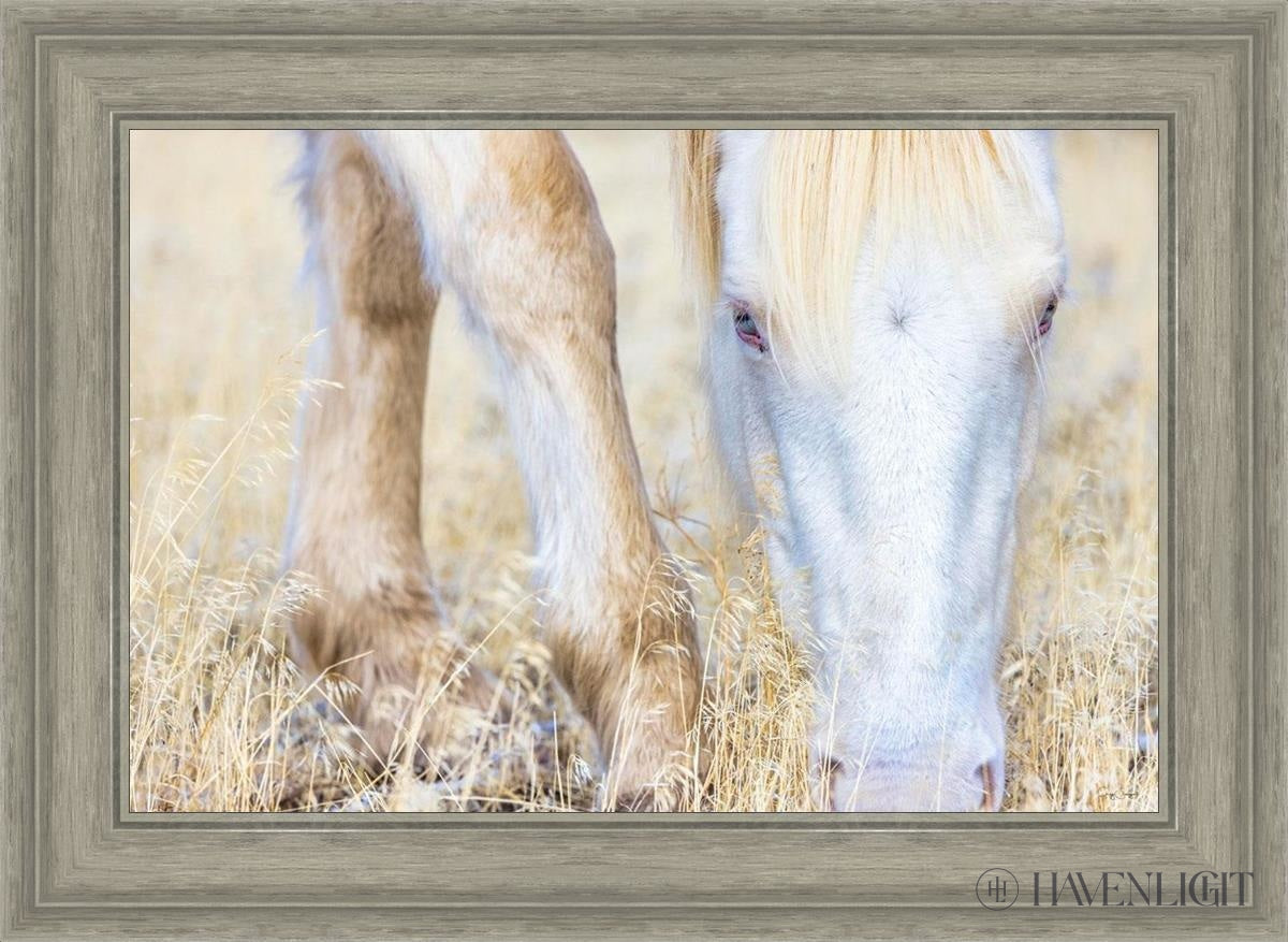 Dry Grass by Greg Sargent - Premium Handcrafted Home Decor for Rustic & Farmhouse Style - Perfect for Wall Art, Shelf Displays & Cozy Living Room Decor