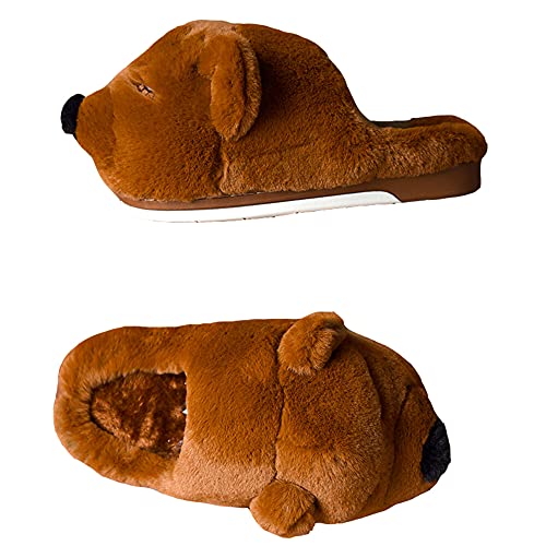 Brown Slipper