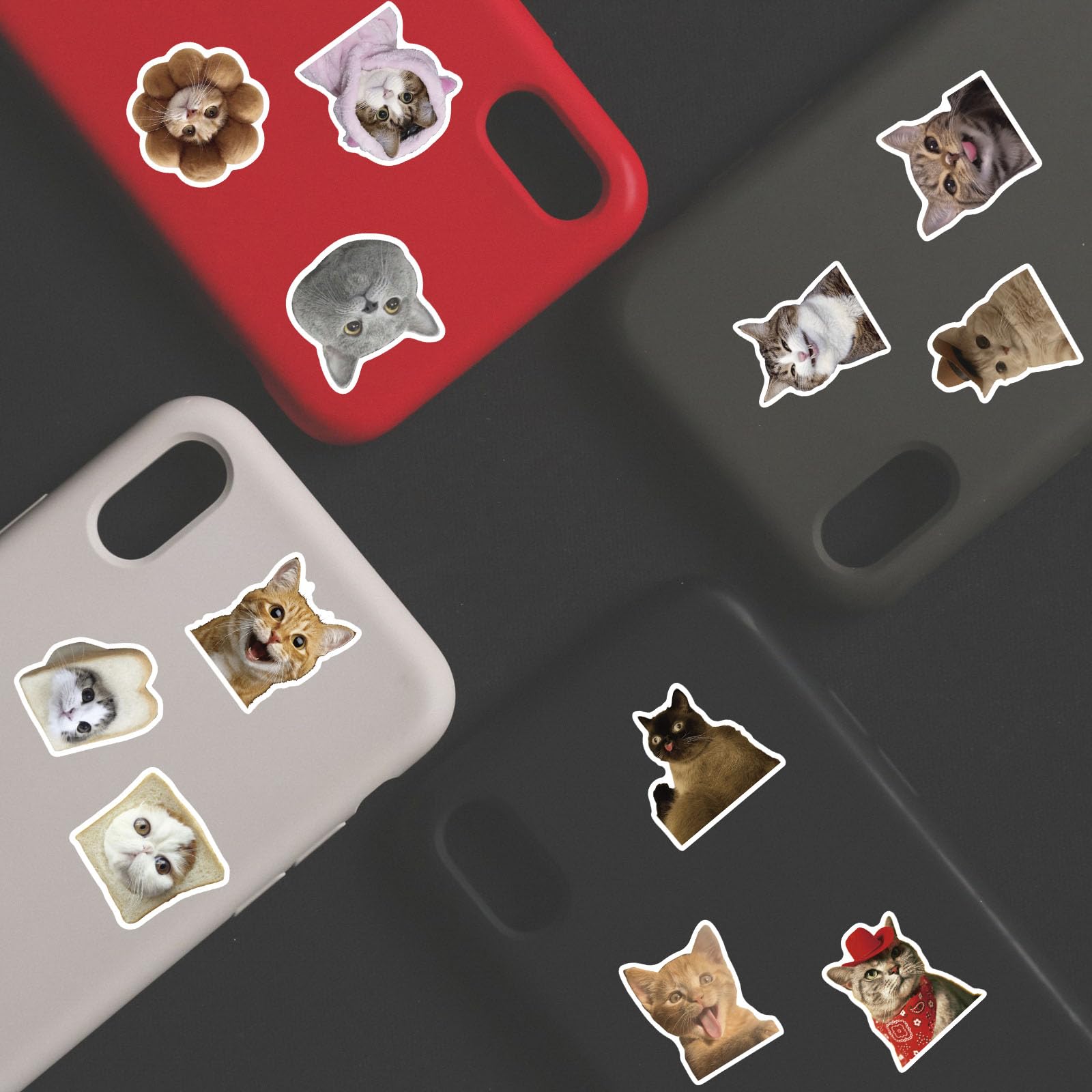 100 Pcs Funny Cat Stickers - Cute Cat Meme Vinyl Decals for Water Bottles, Laptops, Luggage, Skateboards & Bicycles | Waterproof Durable Stickers for Teens & Adults | Perfect for DIY Crafts, School Supplies & Gift Decorations