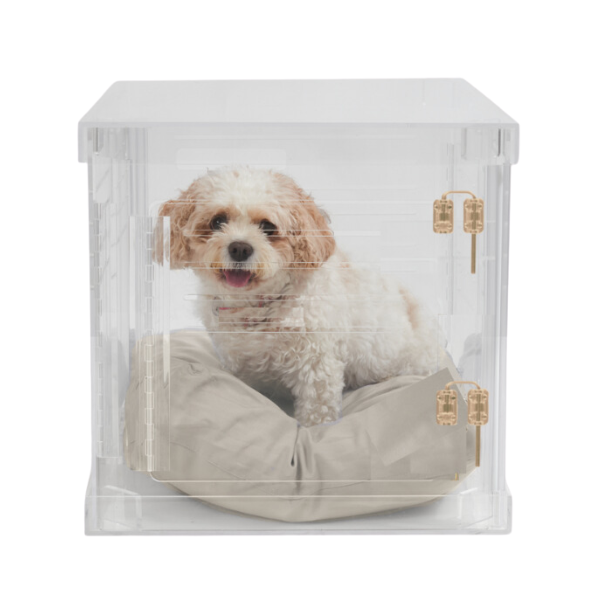 Clear Plastic Dog Crate with Removable Gate - Portable Pet Carrier for Small to Medium Dogs - Perfect for Travel, Training & Home Use