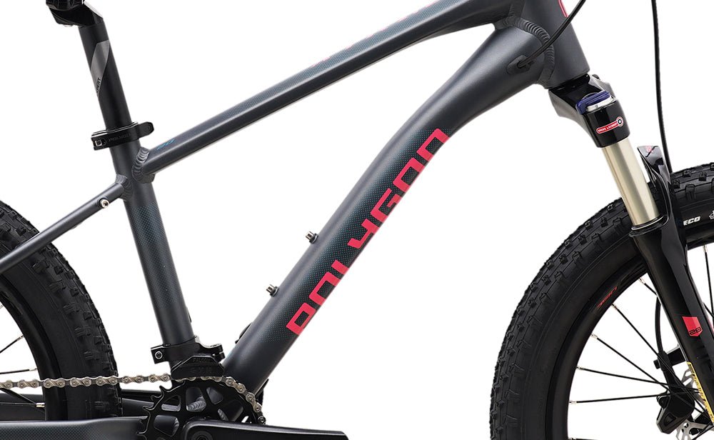 Polygon Xtrada 20 Kids Mountain Bike - 24 Inch Wheels, Lightweight Aluminum Frame, 7-Speed Gears - Perfect for Trail Riding, Off-Road Adventures & Backyard Fun