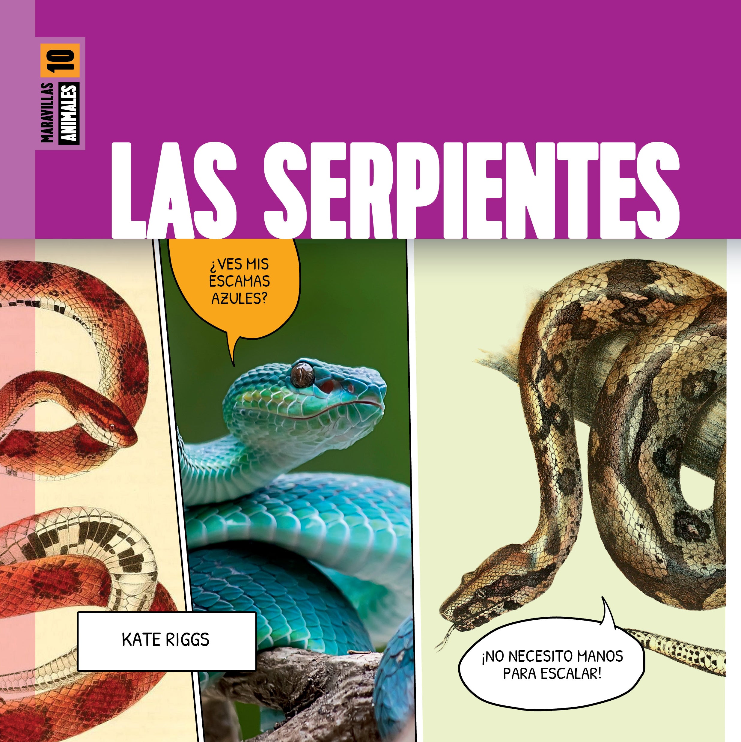 Las Serpientes Book - 9798889891031 - Perfect for Reptile Lovers & Spanish Language Learning | Great for Classroom, Library & Gift Giving