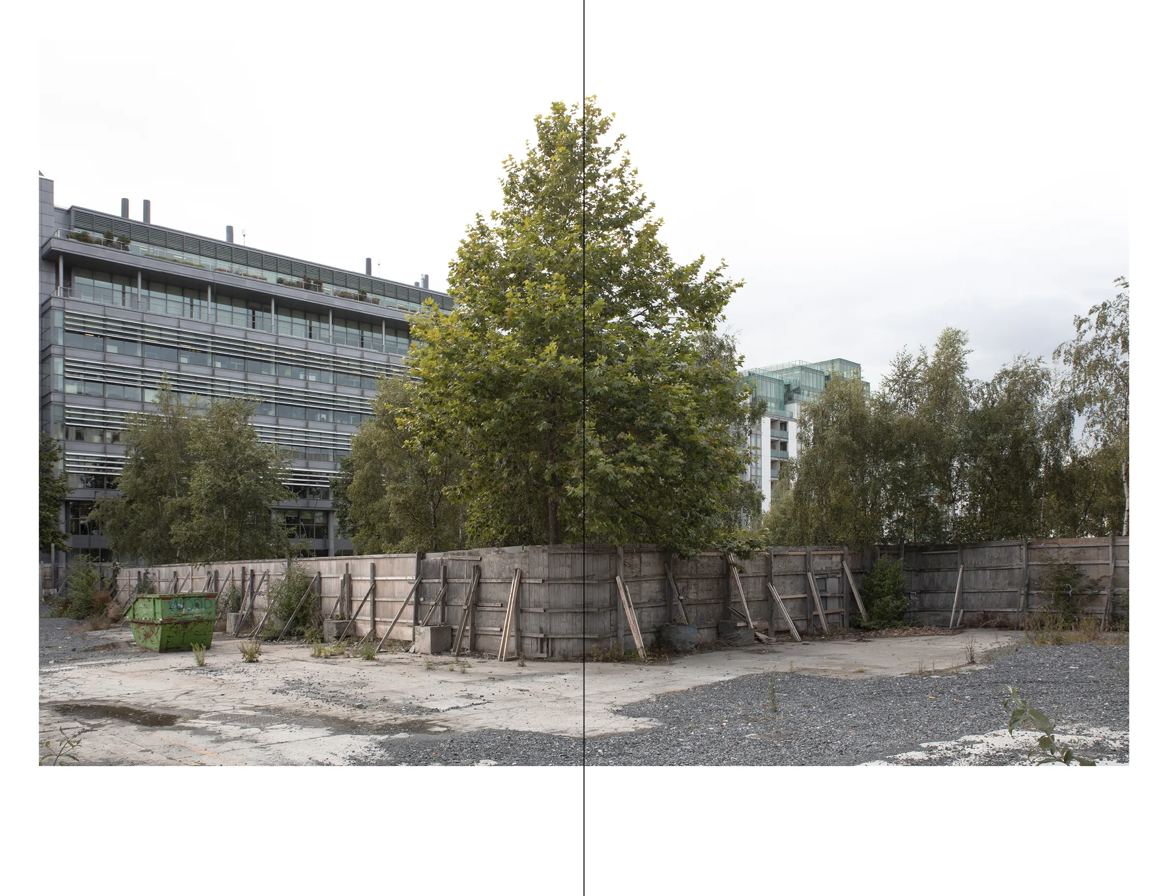 Dublin Exchange: Reflections from a Changing City - Perfect for Travelers, History Lovers & Urban Studies