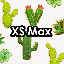 Cactus Clear