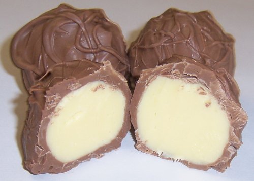 Scott's Cakes Milk Chocolate Covered Orange Fruit Truffles - 1 Pound Gift Box in Christmas Plaid | Perfect for Holiday Gifting, Party Favors & Sweet Treats
