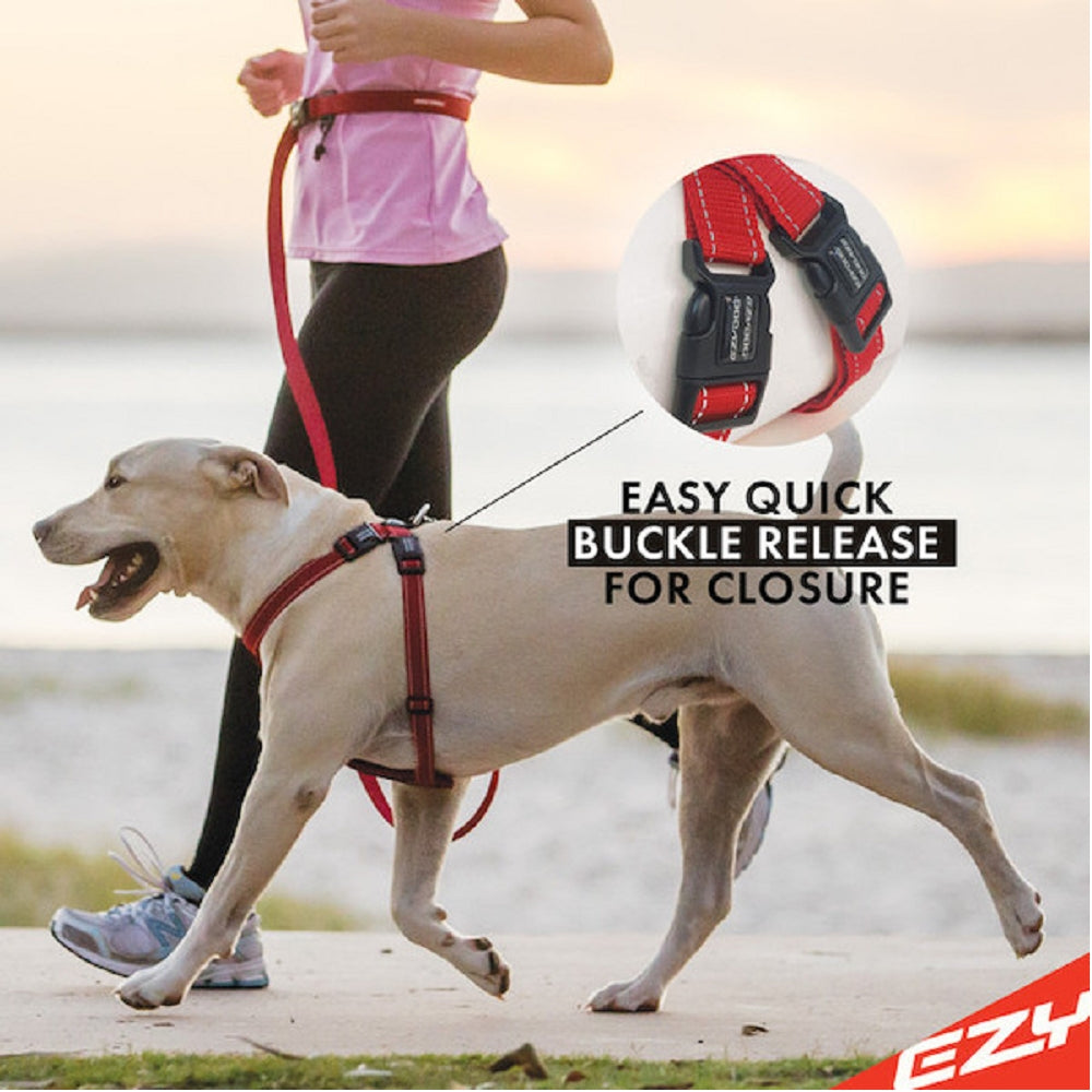 Best Dog Chest Harness for Large Dogs - Adjustable & Reflective Pet Vest for Walking, Running & Hiking - Durable No-Pull Dog Harness for Training & Outdoor Adventures