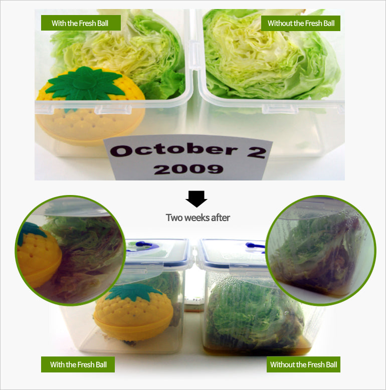 Fresh Ball Fridge Deodorizer - Eliminate Odors & Keep Food Fresh - Perfect for Refrigerators, Freezers & Lunch Boxes