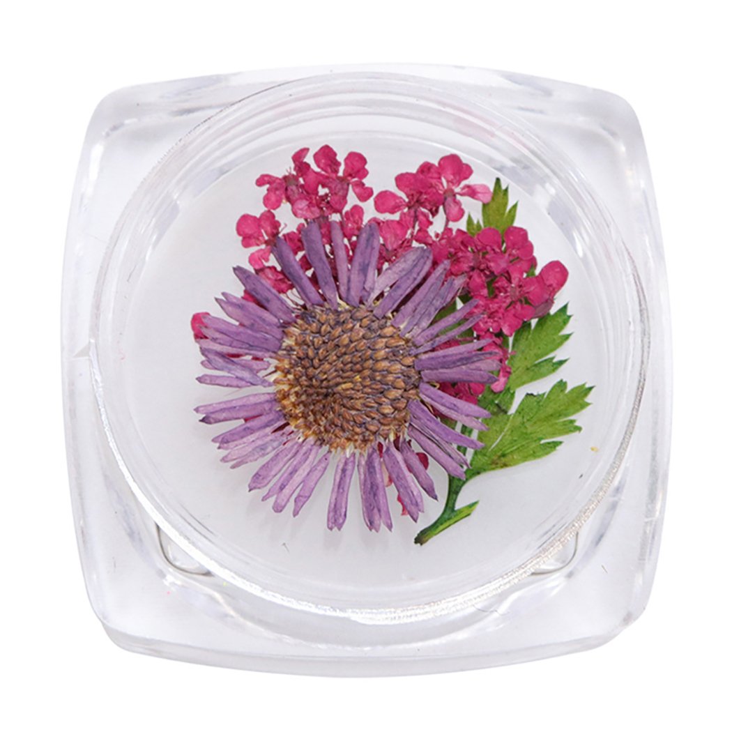 CACAZI Natural Dried Flowers for Nail Art - DIY Pressed Flower Nail Accessories Kit with Nail Art Stones - Perfect for Manicure, Pedicure & Creative Nail Designs at Home or Salon