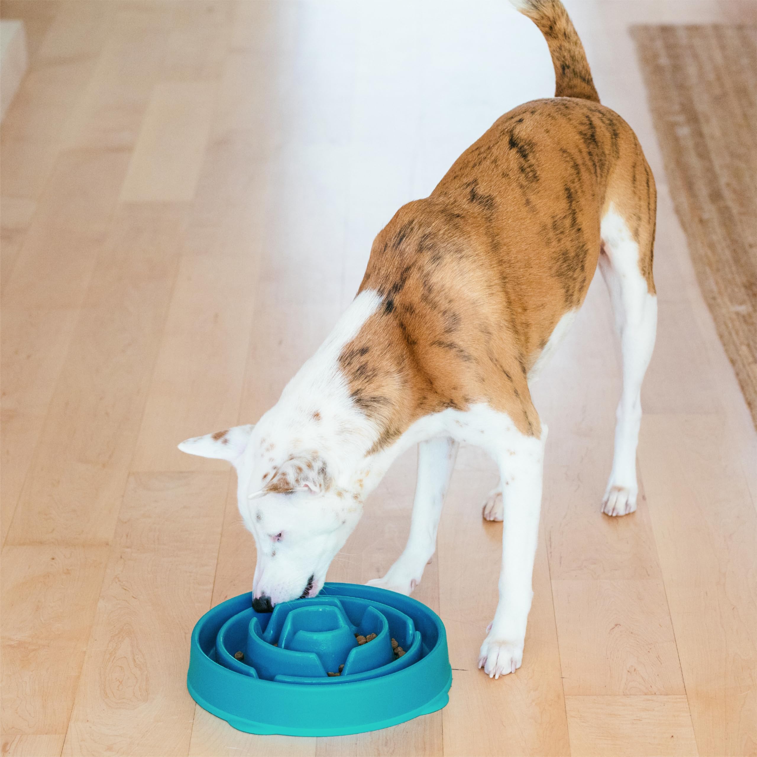 Outward Hound Fun Feeder Slo Bowl - Slow Feeder Dog Bowl for Large & Regular Dogs, Turquoise - Prevent Fast Eating & Bloat for Pets During Mealtime
