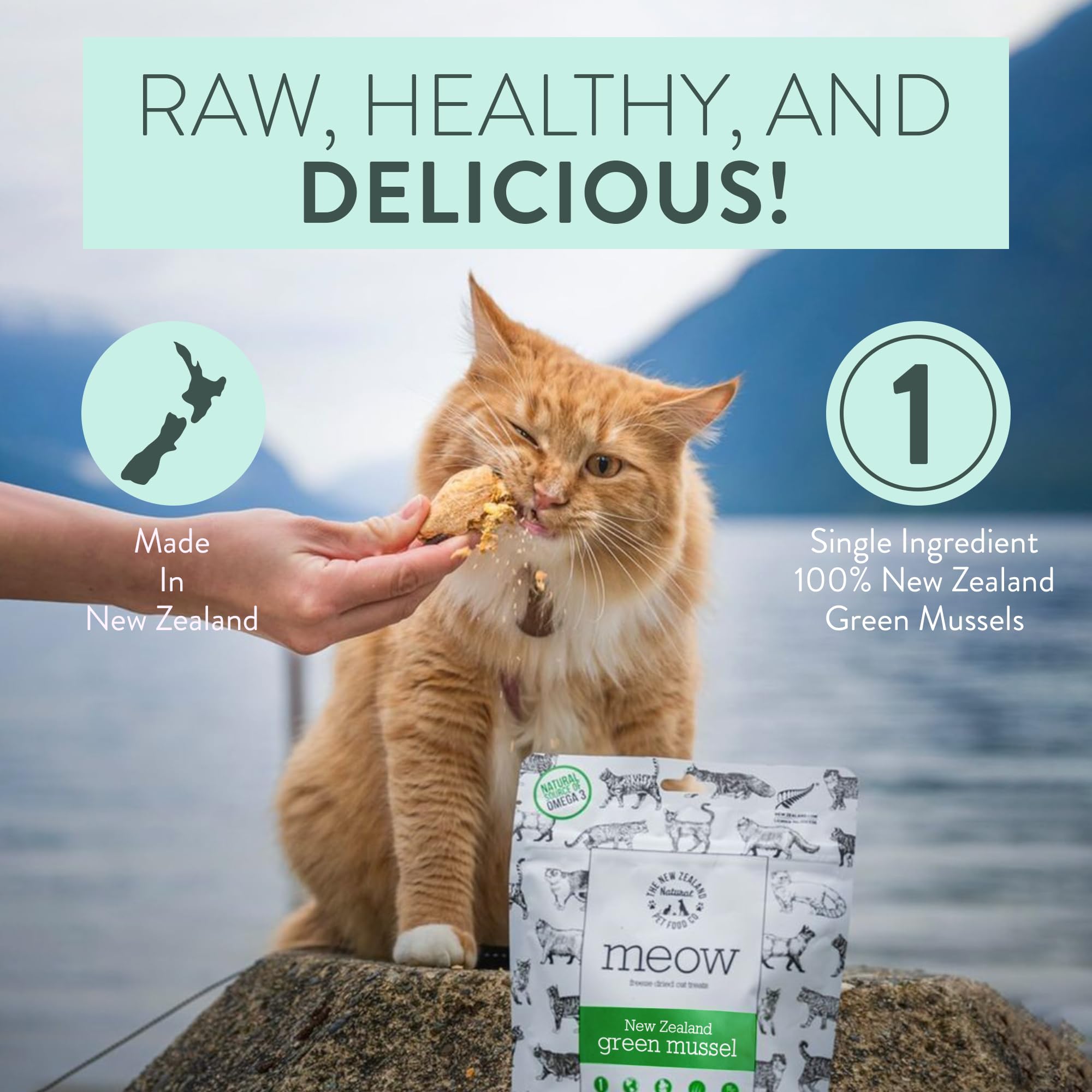 Freeze Dried Cat Treats with NZ Green Mussel - High Protein Healthy Snacks for All Life Stages - Perfect for Training & Rewards