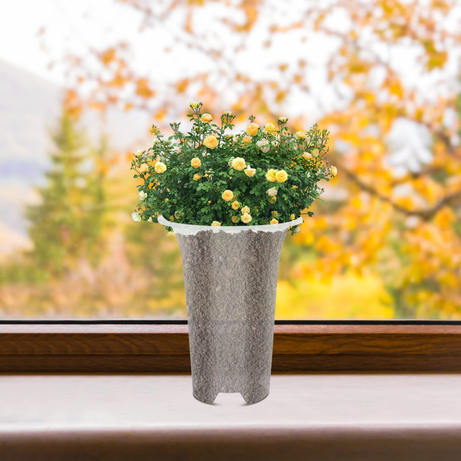 5-Pack Clear Orchid Pots with Multiple Drainage Holes - 9 Inch Plastic Planters for Indoor/Outdoor Flowers, Succulents & Home Decor - Perfect for Windowsills, Balconies & Garden Displays