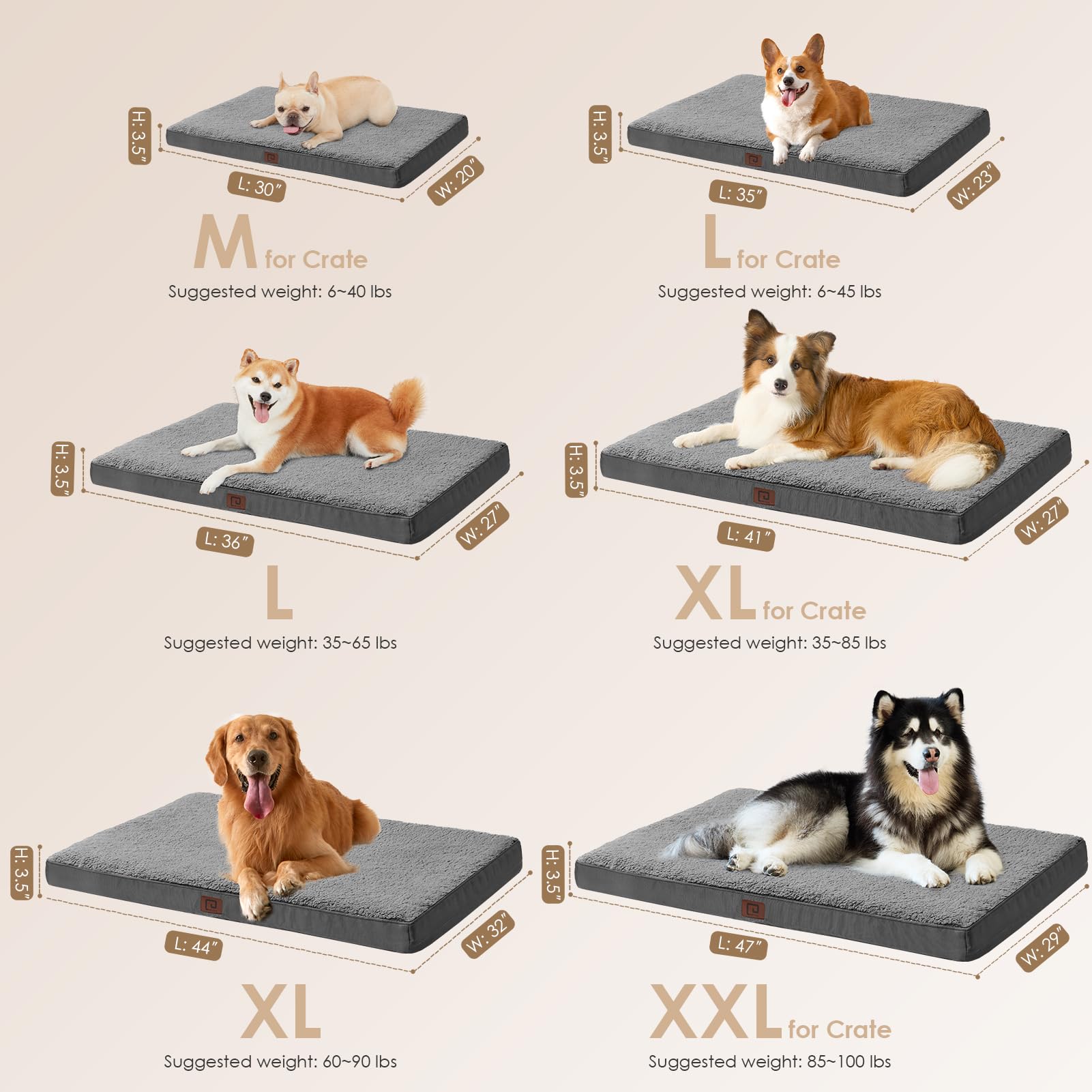 Orthopedic Medium Dog Bed for Small Dogs - Removable & Washable Cover - Grey 30x20 - Perfect for Crates, Kennels & Home Comfort
