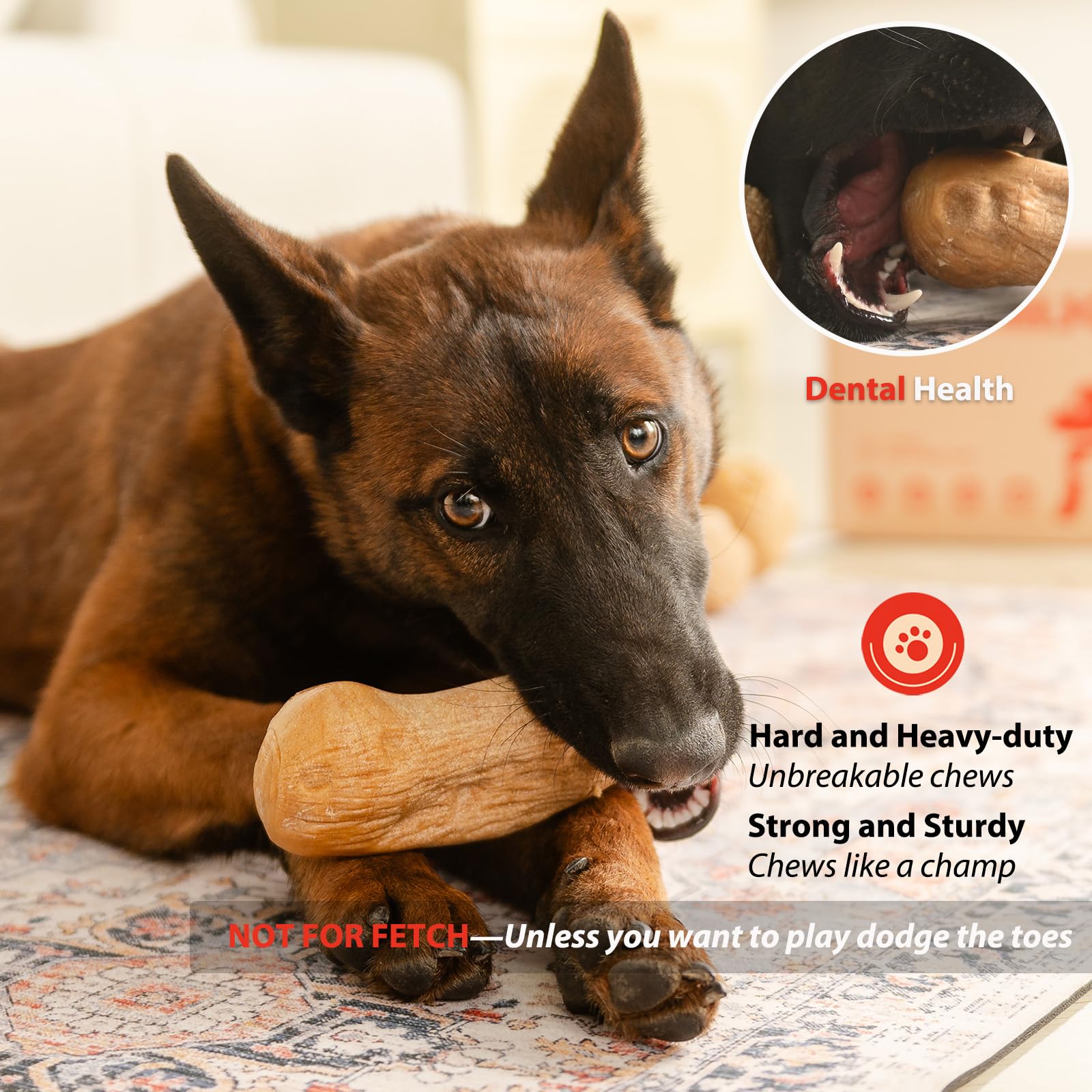 Willjoy 2-Pack Durable Pine Wood & Nylon Dog Chew Toys for Aggressive Chewers - Indestructible Bacon-Flavored Toys for Large Dogs to Keep Them Busy - Perfect for Playtime, Training & Anxiety Relief