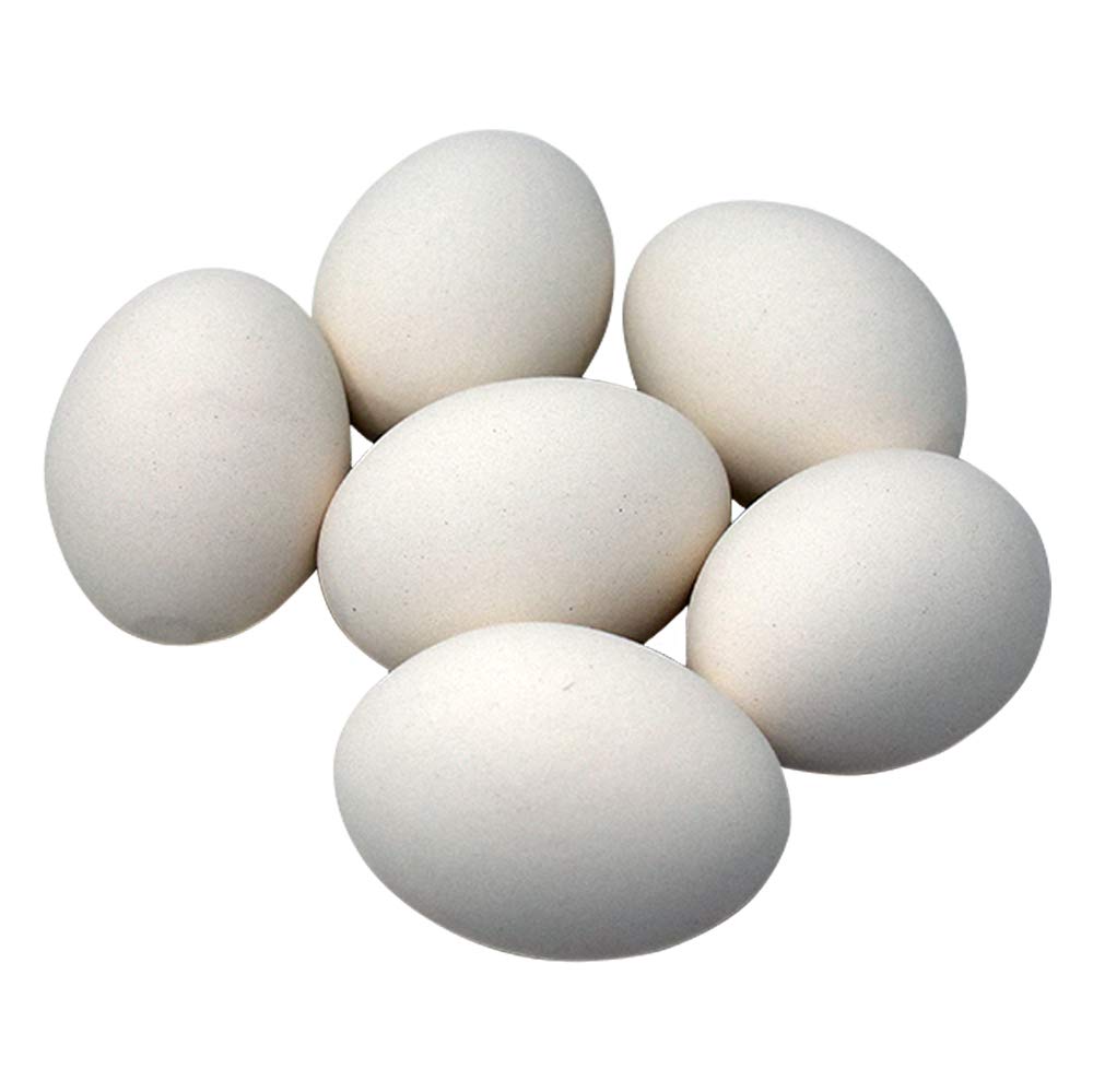 Premium Ceramic Nest Eggs - Set of 6 White Fake Chicken Eggs for Poultry Training, Farm Decor & Easter Decorations - Perfect for Chicken Coops, Farmhouse Decor & Spring Centerpieces