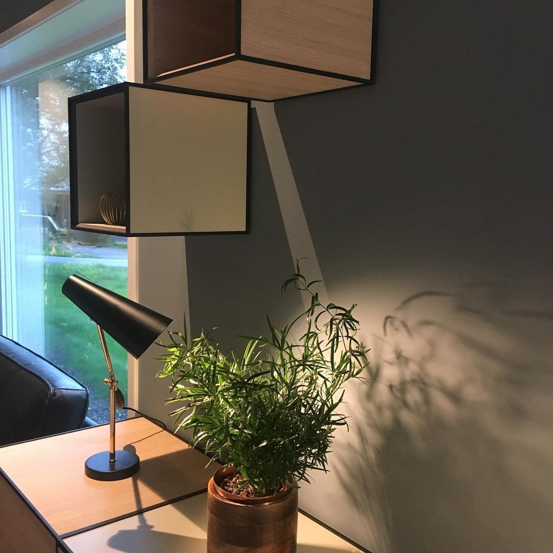 Stylish Birdy Table Lamp - Modern Decorative Lighting for Bedroom, Living Room & Office - Perfect for Reading, Relaxing & Ambience