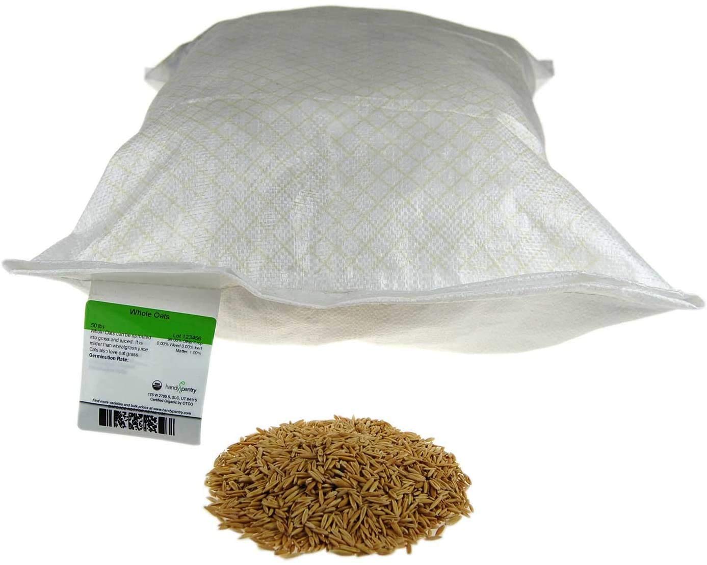 25 Lb Bulk Non-GMO Organic Whole Oat Groats with Husk - Gluten Free Organic Oats for Sprouting, Steel Cut Oats, Oat Berries, Flour, Rice & Livestock Feed - Perfect for Healthy Breakfast, Baking & Animal Nutrition