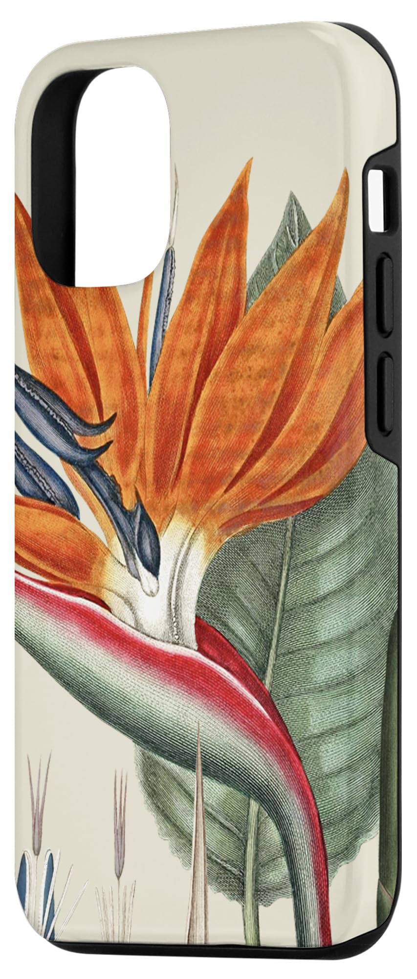 iPhone 12/12 Pro Case - Exotic Bird of Paradise & Tropical Botanical Design - Durable Protective Phone Cover for Women & Men - Perfect for Beach Vacation, Summer Travel & Nature Lovers