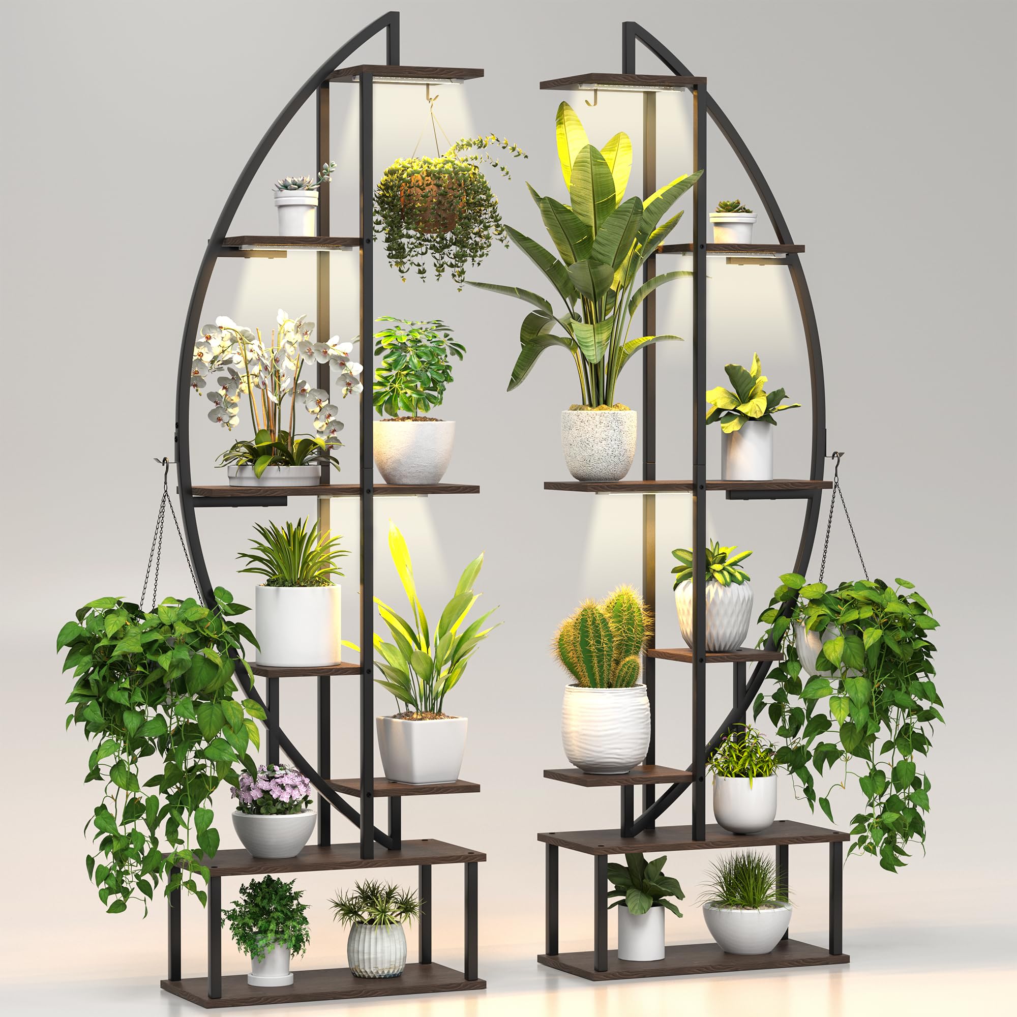 6-Tier 65