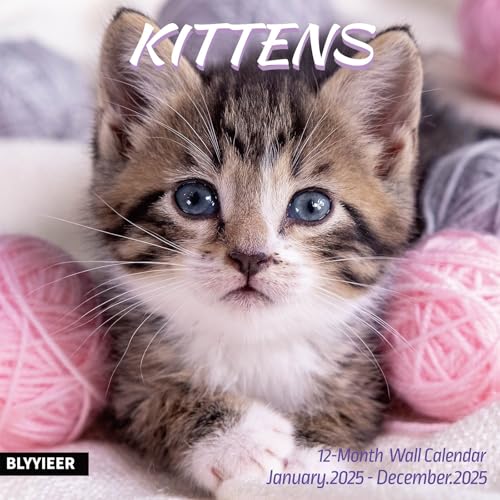 kittens02