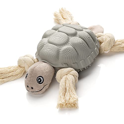Turtle (Grey)