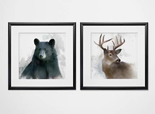 Rainsoft Bear