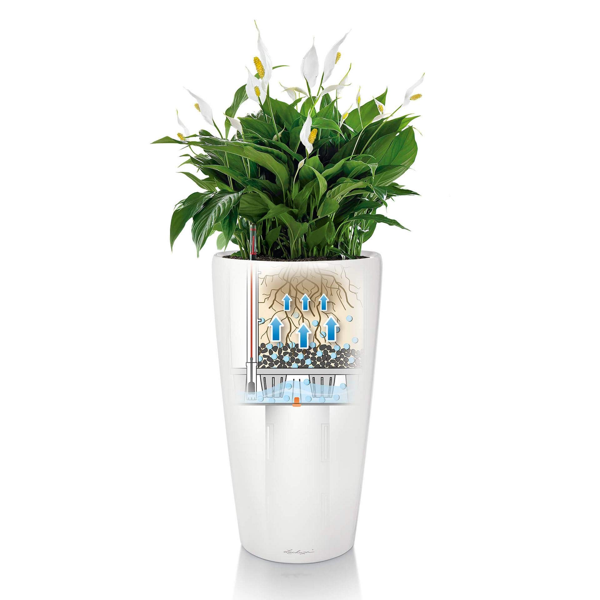 Lechuza Rondo 32 Self-Watering Planter - Large Indoor/Outdoor Garden Flower Pot with Drainage Hole & Plant Substrate - 32cm Poly Resin Floor Planter in Shiny Taupe - Perfect for Home, Office, Patio, and Balcony Decor