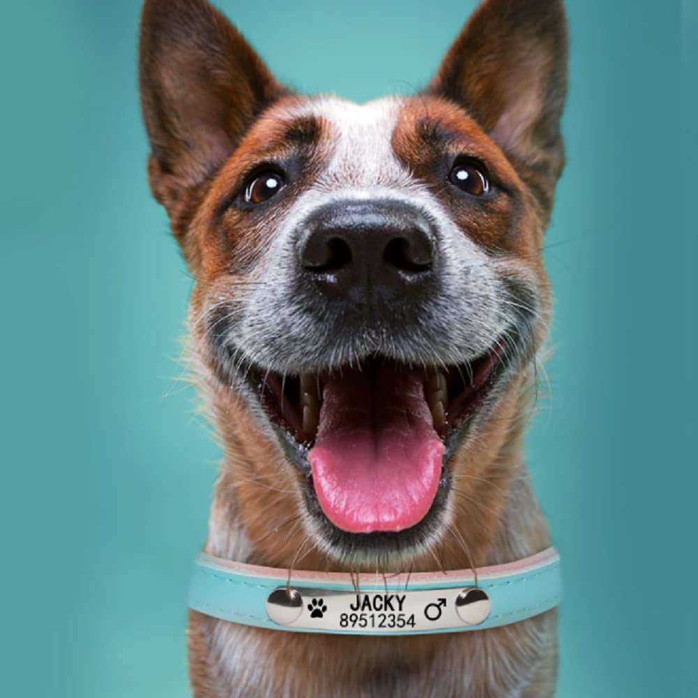 Personalized Engraved Dog Collar - Custom Name Tag Pet Collar for Small Medium Large Dogs | Soft Leather Puppy Cat Collar with ID Nameplate (XS, Pink) | Perfect for Daily Walks, Training & Pet Identification