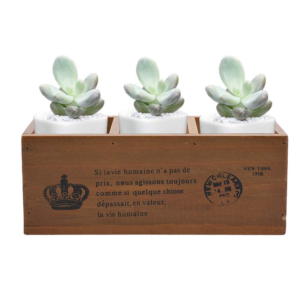 Small Rectangular Wood Planter Box for Succulents - Decorative Garden Flower Pot Container - Perfect for Indoor Plants, Home Decor, and Outdoor Gardening