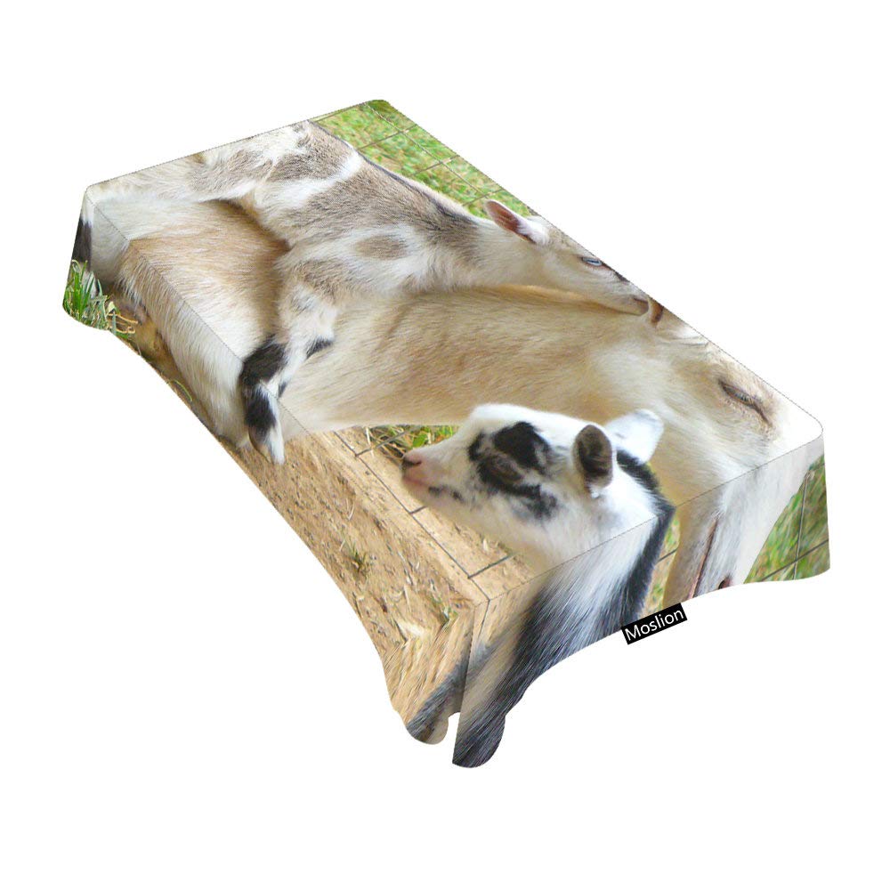 Premium Rectangle Tablecloth 60x90 Inches - Soft Baby Goat Print Table Cover for Dining, BBQ, Picnic & Coffee Tables - Washable & Wrinkle-Resistant for Indoor/Outdoor Use