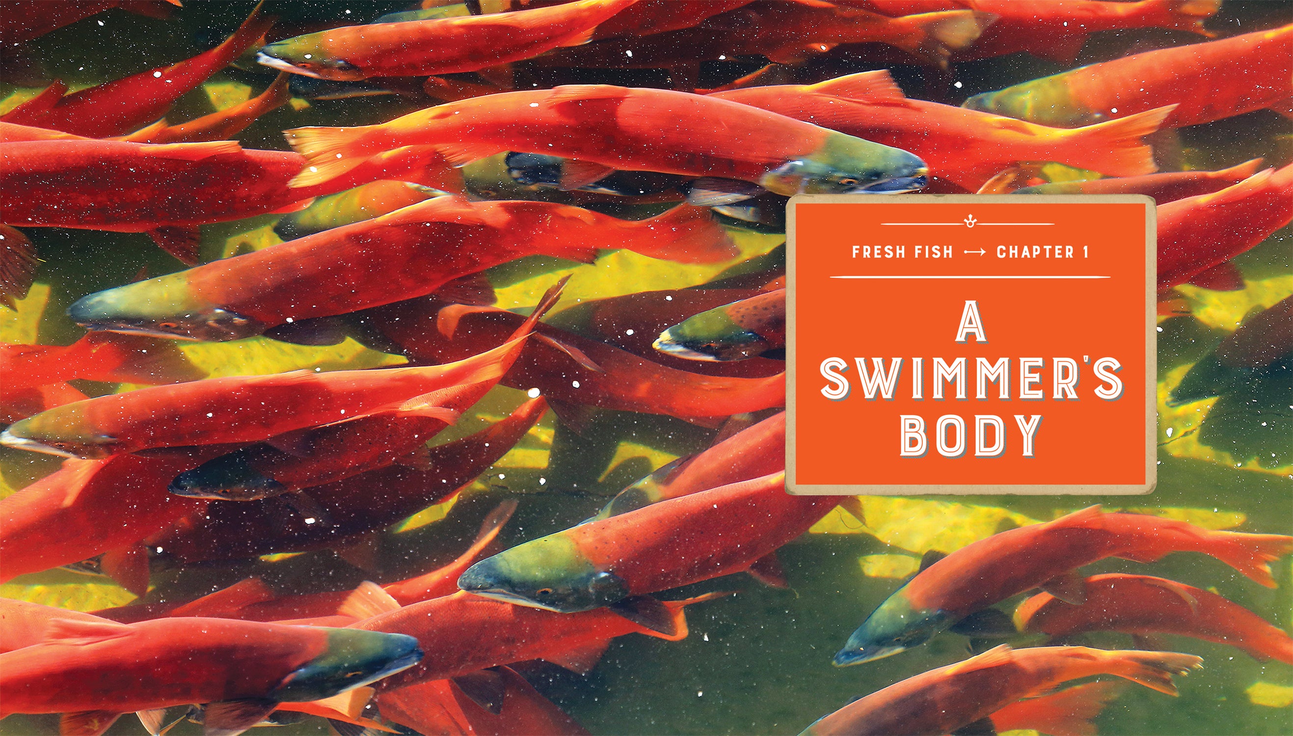 Fresh Fish Online - Buy Premium Quality Seafood for Home Cooking & Restaurant Use - ISBN 9781608187713 | Perfect for Sushi, Grilling & Healthy Meals