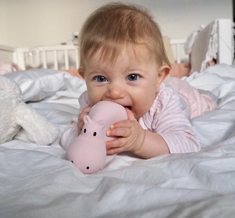 Tikiri My First Zoo Animals - Natural Rubber Baby Teething Toys for Infants & Toddlers - Safe & Non-Toxic Chew Toys for Soothing Sore Gums - Perfect for Playtime, Learning & Sensory Development