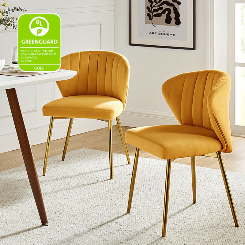 Aruna Side Chair Set - Modern Dining Chairs for Kitchen, Living Room & Office - 2-Piece Wooden Accent Chairs with Cushion - Perfect for Small Spaces, Breakfast Nook & Home Decor