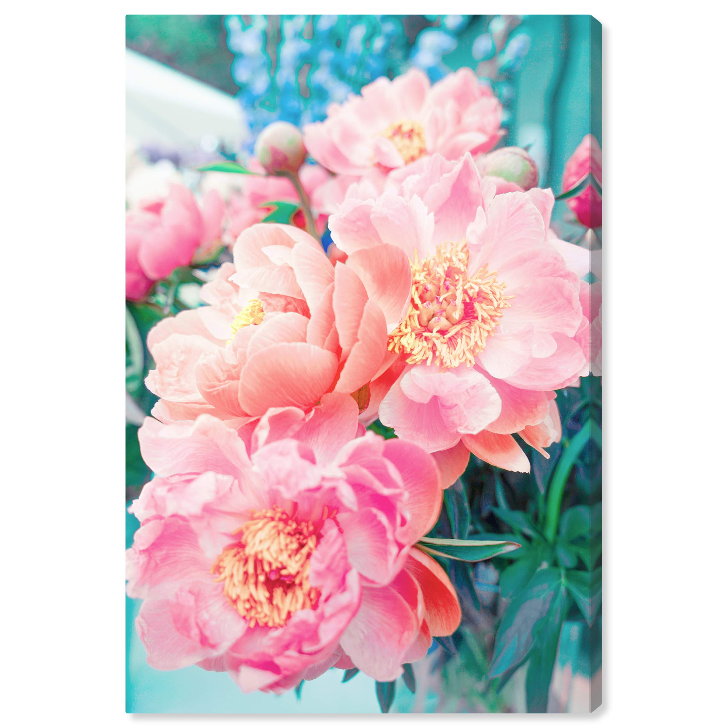 Open Peonies Floral Wall Art Canvas Print - 24