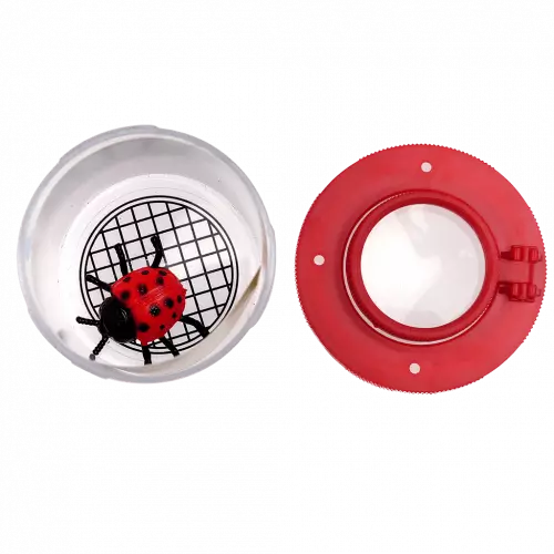 Insect Viewer - Kids Bug Catcher & Magnifier for Outdoor Exploration - Perfect for Backyard Adventures, Nature Study, and Science Learning