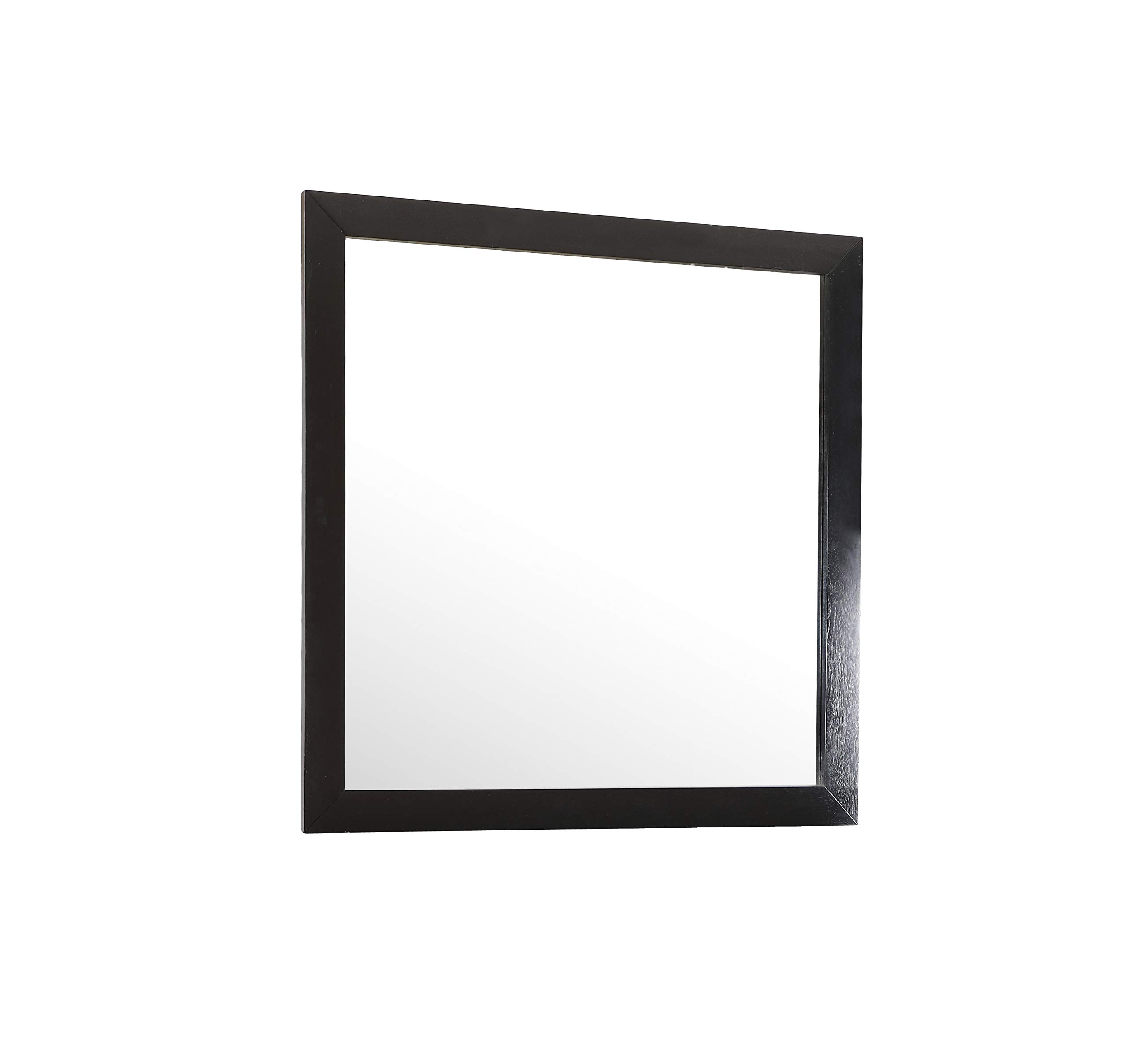 Glory Furniture G2450-M Full Length Bedroom Mirror in Black - Perfect for Dressing Rooms, Bedrooms & Home Decor