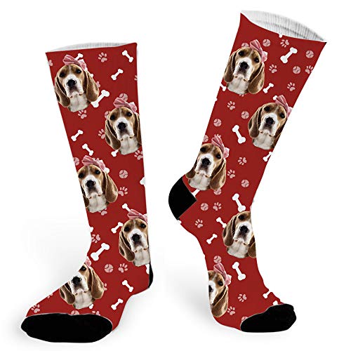 Red Dog