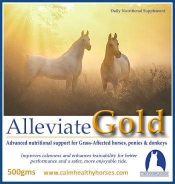 Calm Healthy Horses AlleviateGold 4kg - Natural Horse Calming Supplement for Anxiety & Stress Relief - Perfect for Training, Competition & Travel