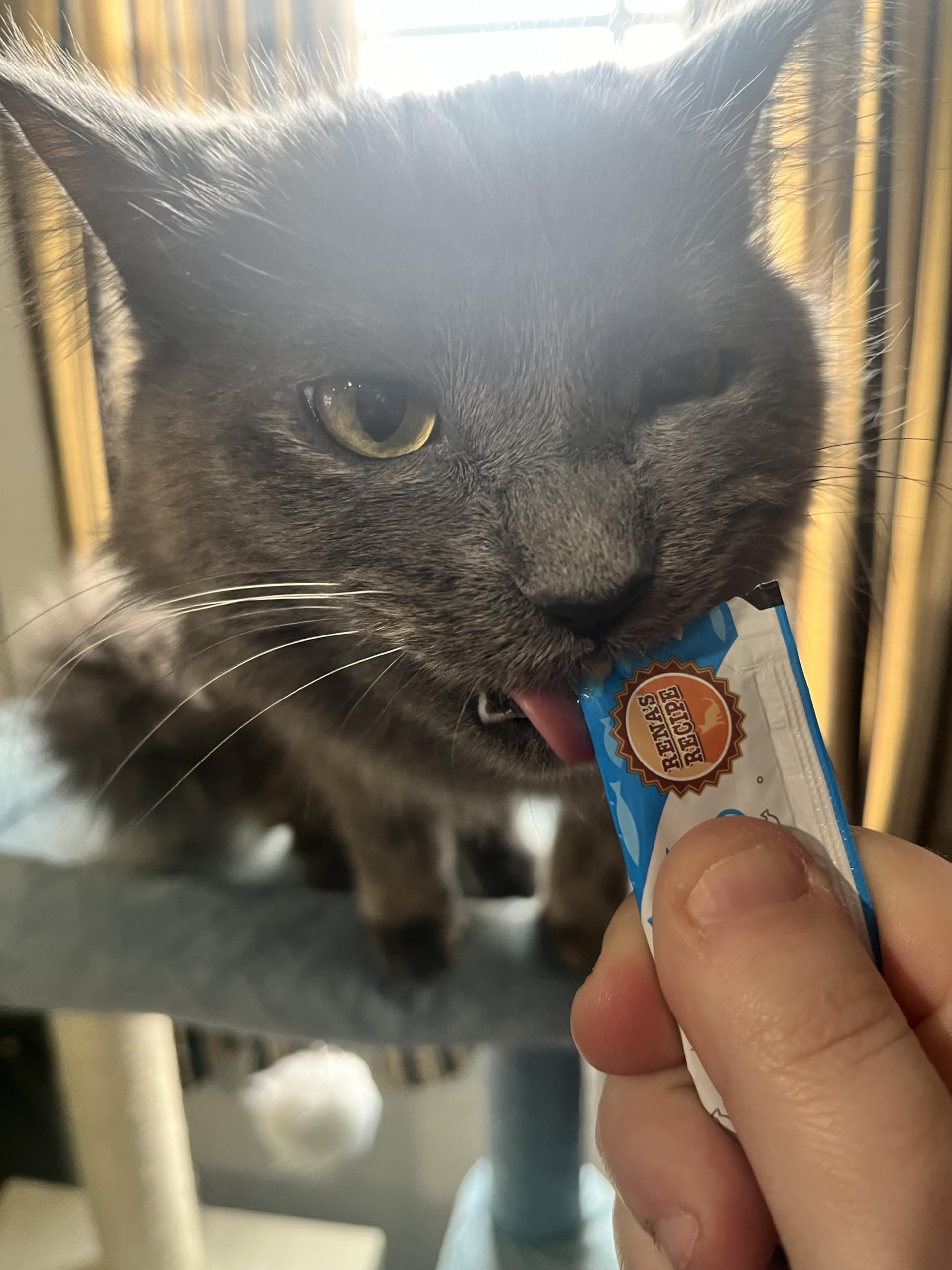 Rena's Recipe Kitty Licks Variety Pack - 28 Tubes with 7 Flavor Variations (Chicken, Tuna, Seafood) Cat Treats for Indoor & Outdoor Cats - Perfect for Training, Bonding & Rewarding Your Feline Friend