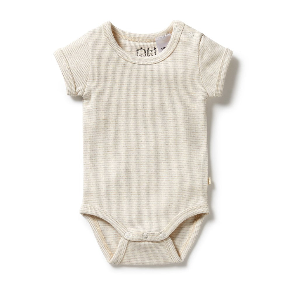 Organic Stripe Rib Bodysuit - Soft & Comfortable Baby Onesie for Newborns & Infants | Perfect for Playtime, Sleep & Everyday Wear