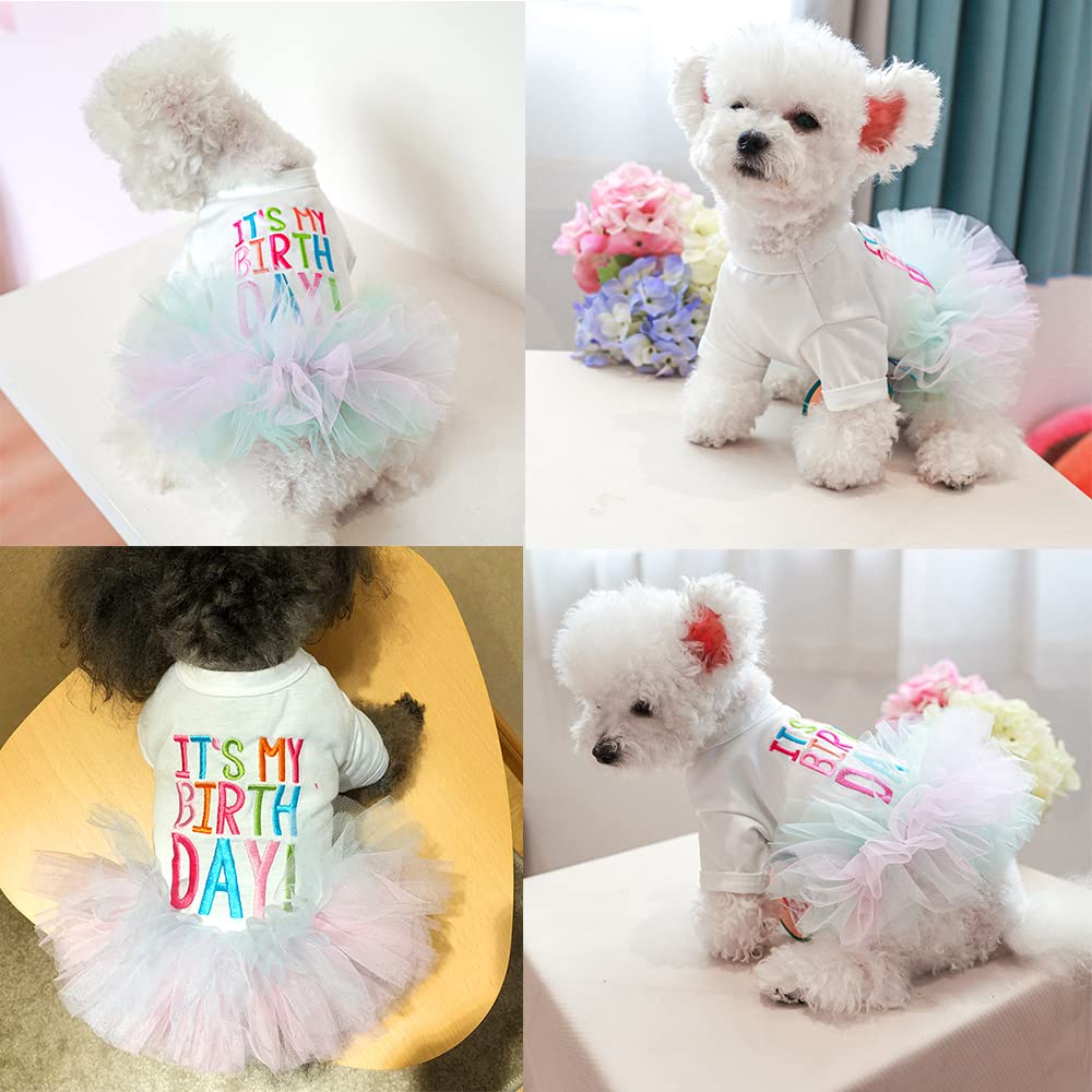 ANIAC Girl Dog Birthday Tutu Dress with Lace Skirt & Hairpin - Princess Pet Costume for Cats & Small Dogs (X-Small, White) - Perfect for Birthday Parties, Photo Shoots & Special Occasions